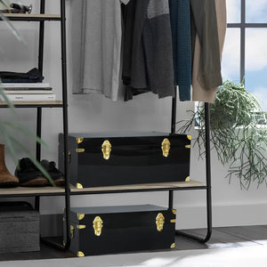 Clear Acrylic Storage Chest Set of 2 with Handles & Hasps