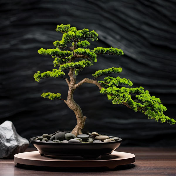 Artificial Bonsai Tree with Ceramic Pot — Indoor Faux Juniper Plant Decor