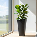 Large 28-Inch Tall Planters Set of 2 with Drainage Hole and Tray
