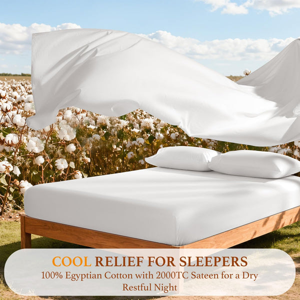 Queen Cotton Bed Sheet Set – White