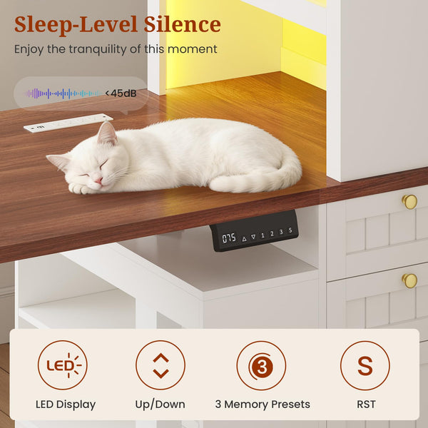 Electric Standing Desk with Bookcase, Drawers & Power Outlets
