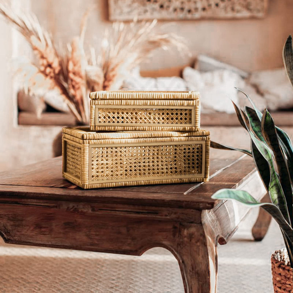Boho Rattan Display Boxes with Glass Lids Set of 2