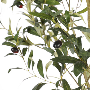 7ft & 8ft Artificial Olive Tree with Natural Wood Trunk
