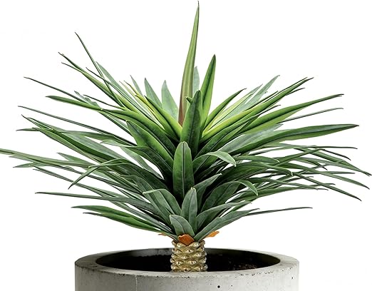 Large Artificial Agave Plant – UV Resistant Faux Succulent Floor Plant