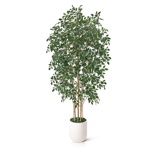 Artificial Ficus Tree – Tall Faux Indoor Floor Plant with White Planter