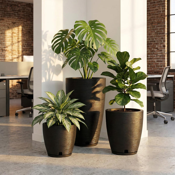 Round Plastic Plant Pots Set of 3 with Drainage Hole and Saucer