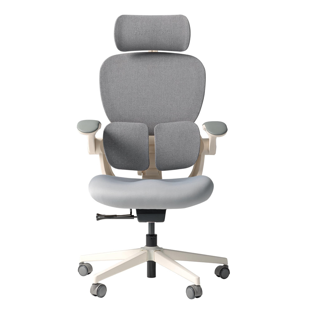 Ergonomic Office Chair with Lumbar Support & Footrest