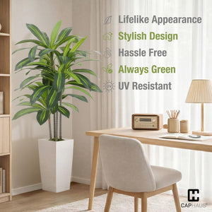 Artificial Dracaena Tree with White Pot & Moss