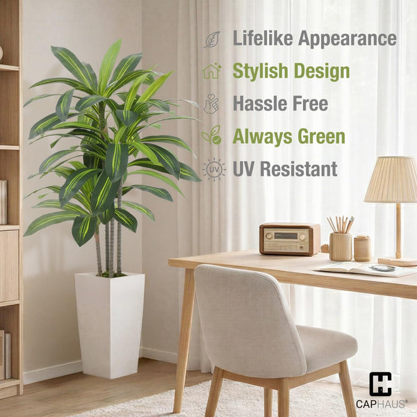 Artificial Dracaena Tree with White Pot & Moss