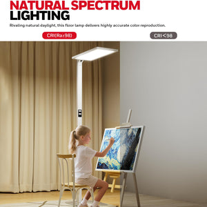 LED Dual-Source Smart Floor Lamp