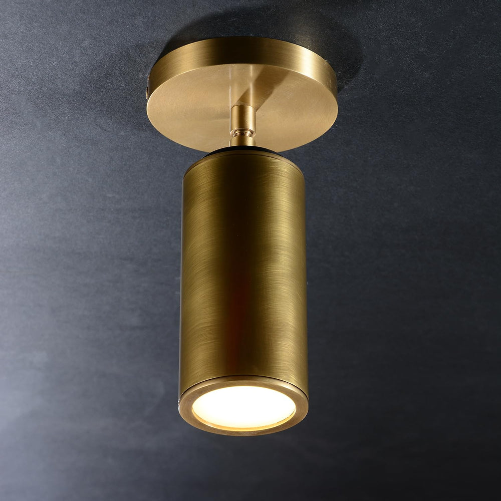Adjustable Brass Ceiling Spotlight – Dimmable Directional Wall Light Fixture