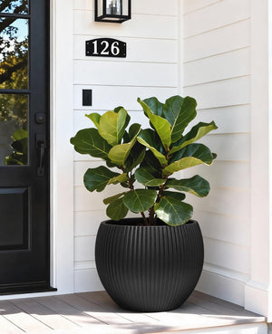 Large Plant Pots with Drainage – Indoor & Outdoor