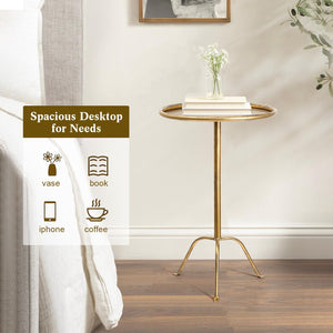 Round Bronze Pedestal Side Table, Set of 2