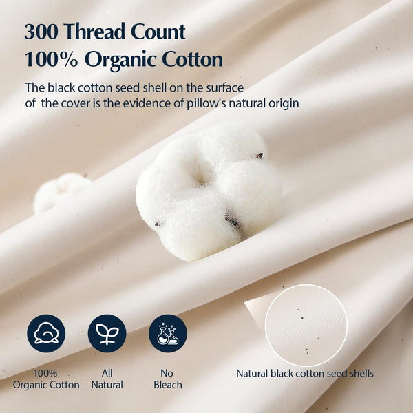 Goose Feather Down Bed Pillow with Organic Cotton Cover