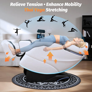 Zero Gravity SL-Track Shiatsu Massage Chair