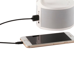 LED Desk Lamp with Bluetooth Speaker & Dual Adjustable Shades