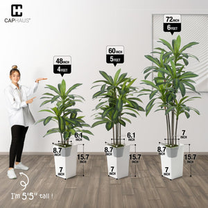 Artificial Dracaena Tree with White Pot & Moss