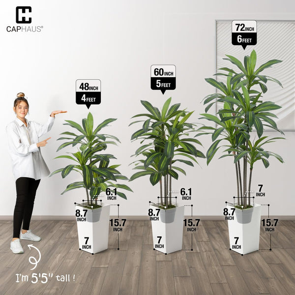 Artificial Dracaena Tree with White Pot & Moss