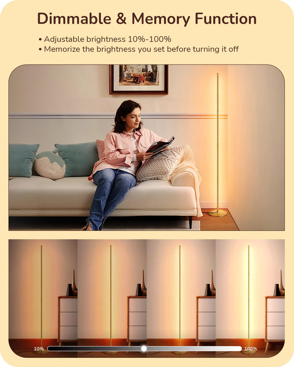 Slim Dimmable LED Corner Floor Lamp