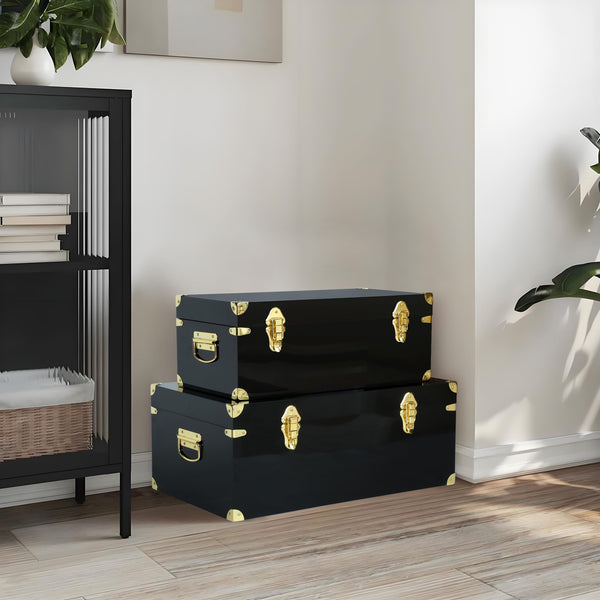 Clear Acrylic Storage Chest Set of 2 with Handles & Hasps