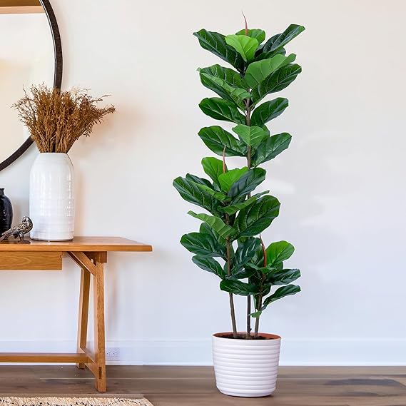 Faux Fiddle Leaf Fig Tree – Artificial Ficus Indoor Plant