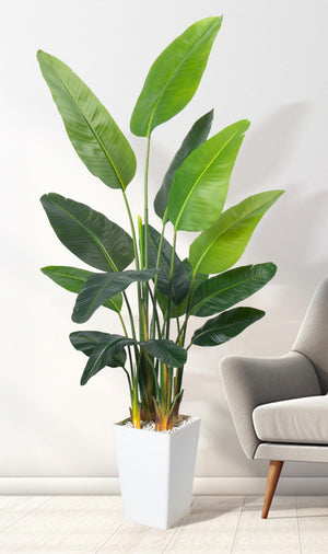 Bird of Paradise Artificial Plant 6.8 FT with White Planter