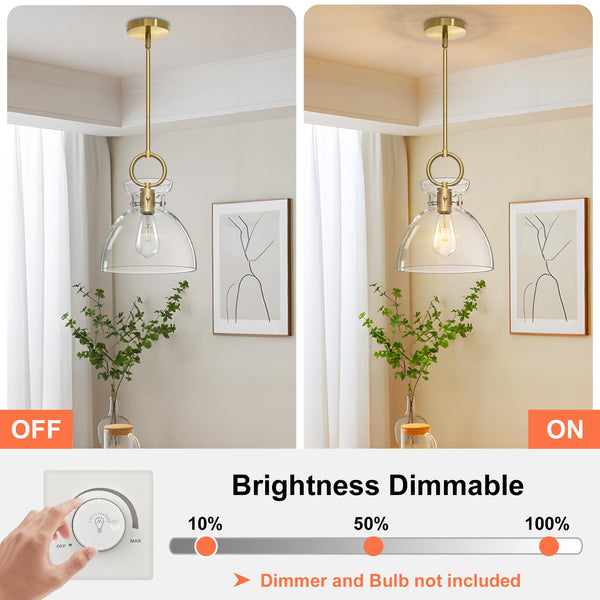 Gold Glass Pendant Light with Clear Round Shade