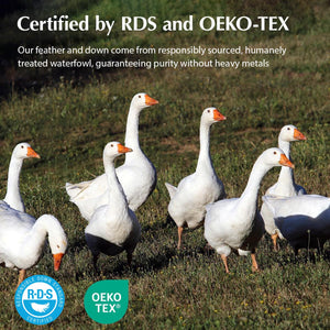 Goose Down Bed Pillows – Medium Support, Downproof, Hotel Quality