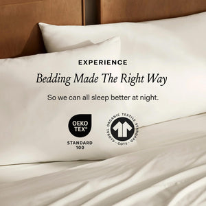 Organic Cotton Duvet Cover Set with Shams