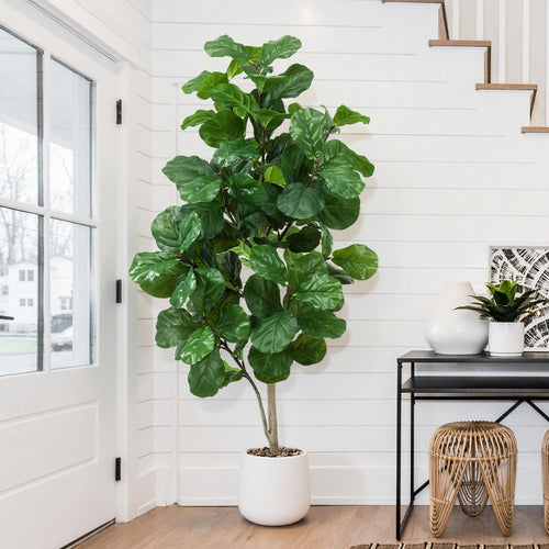 Faux Fiddle Leaf Fig Tree with White Pot