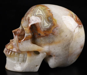 Red Crazy Lace Agate Crystal Skull Sculpture