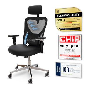 Ergonomic Office Chair with Mesh Back & 3D Headrest