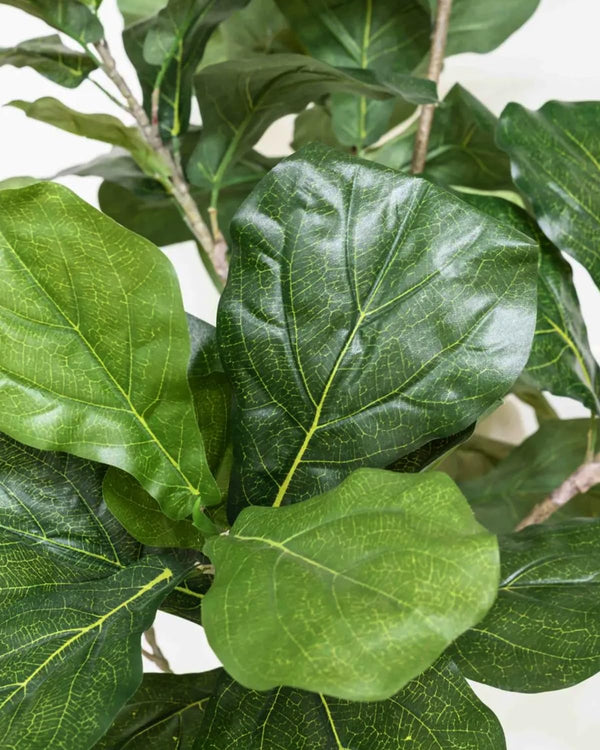 6ft Artificial Fiddle Leaf Fig Tree with Planter