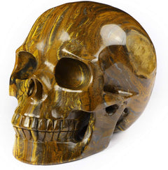 Tiger Iron Eye Crystal Skull Sculpture – 5 Inch Hand Carved Gemstone