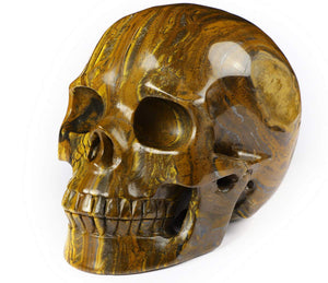 Tiger Iron Eye Crystal Skull Sculpture – 5 Inch Hand Carved Gemstone