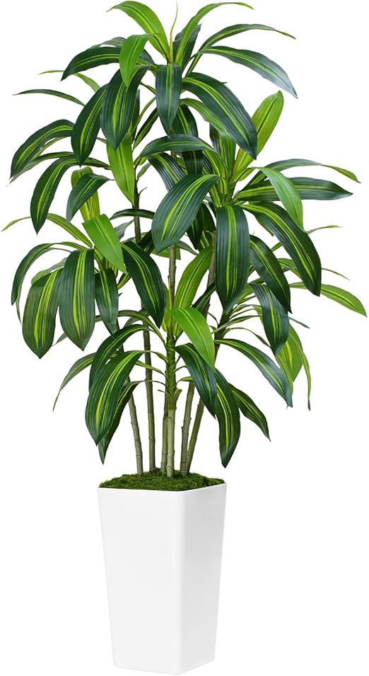 Tall Artificial Dracaena Tree with White Planter