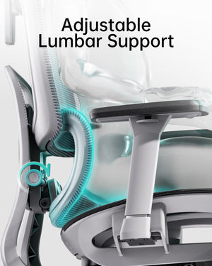 High Back Ergonomic Mesh Office Chair with 3D Armrests & Adjustable Lumbar Support