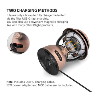 Rechargeable LED Camping Lantern – 300 Lumens, App Control, IP55, Vintage Bronze