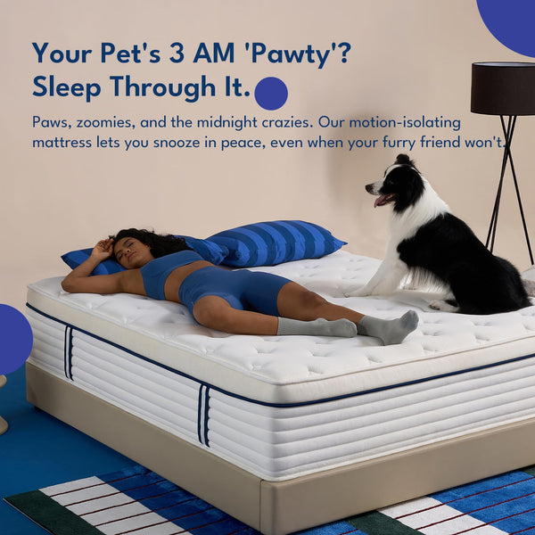 Full Size Gel Memory Foam Mattress 12 Inch – Euro Top, Zoned Support, Pressure Relief