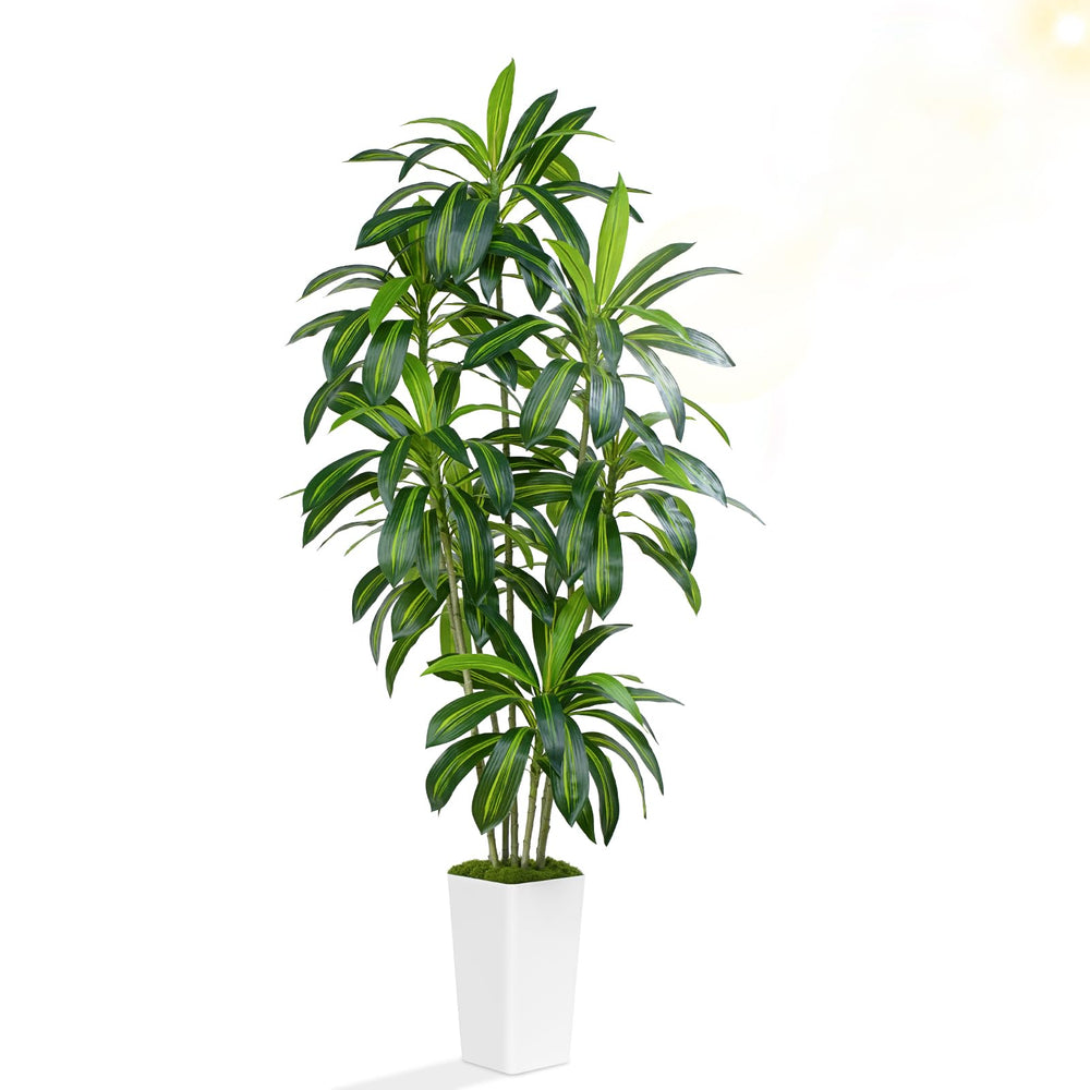 Tall Artificial Dracaena Tree with White Planter