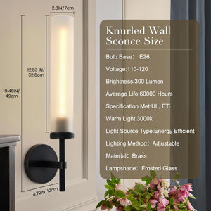 Hardwired Frosted Glass Black Wall Sconce
