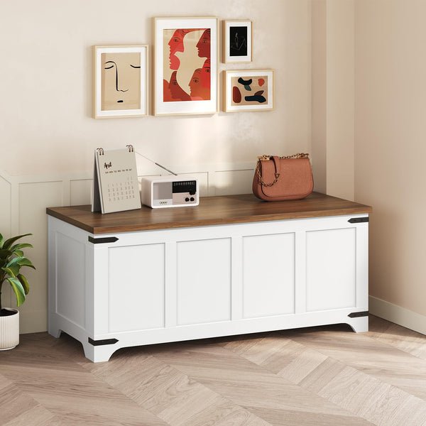 Storage Chest & Toy Box with Safety Hinges