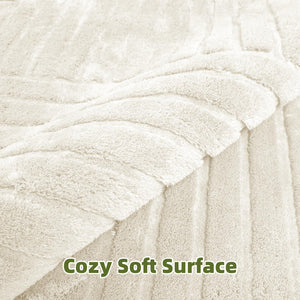 High-Low Pile Area Rug – Washable Soft Indoor Rug with Non-Slip Backing