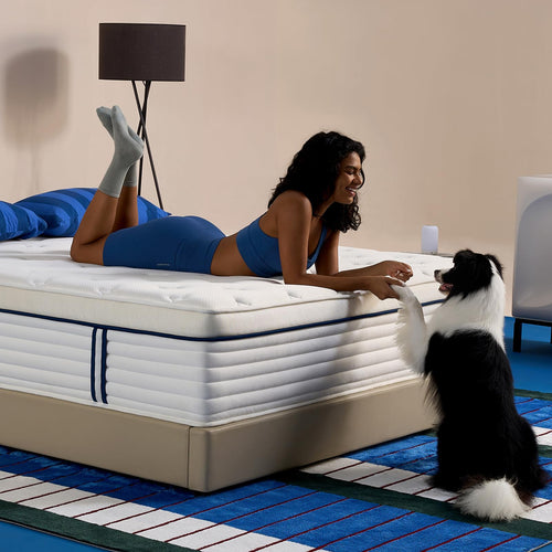 Full Size Gel Memory Foam Mattress 12 Inch – Euro Top, Zoned Support, Pressure Relief