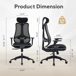 Fluido Ergonomic High Back Mesh Office Chair with Adjustable Lumbar Support & 3D Armrests