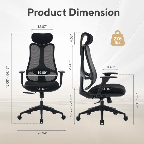 Fluido Ergonomic High Back Mesh Office Chair with Adjustable Lumbar Support & 3D Armrests