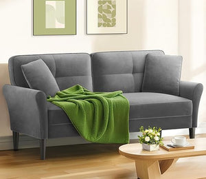 69" Velvet Loveseat Sofa with 2 Pillows | 700lb Capacity | Tool-Free Setup