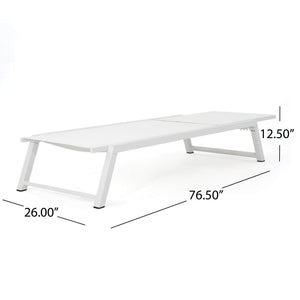 Outdoor Mesh Chaise Lounges Set of 2