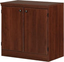 2-Door Storage Cabinet with Adjustable Shelf