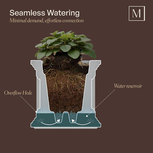 20 Inch Self-Watering Square Planter Box with Double Wall Construction